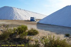 33 SANTA POLA LES SALINES (15)